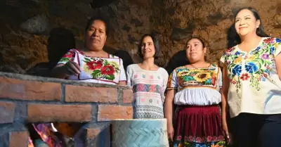 Programa Estufas Eficientes de Le�a para el Bienestar