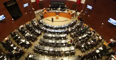 Senado