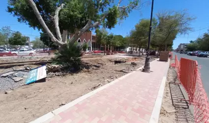 Remodelaci�n del bulevar Hidalgo