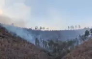 Incendio forestal en La Mesa Tres R�os afecta a N�cori Chico y Bavispe