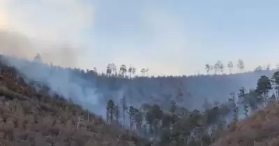 Incendio La Mesa Tres R�os