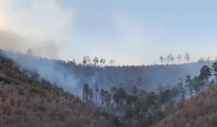 Incendio La Mesa Tres R�os