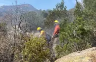 Incrementan brigadistas para combatir incendios forestales en N�cori Chico y Bavispe