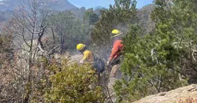 Brigadistas combaten incendio en N�cori Chico