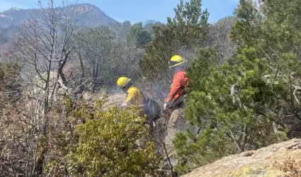 Brigadistas combaten incendio en N�cori Chico
