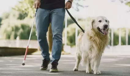 Perro Gu�a