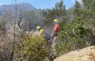 Avanza combate de incendio forestal en N�cori Chico