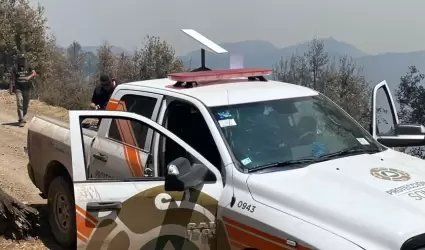 Incendio en sierra de N�cori Chico