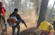 Avanza control del incendio forestal en N�cori Chico