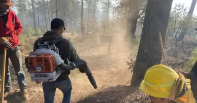 Incendio forestal en N�cori Chico