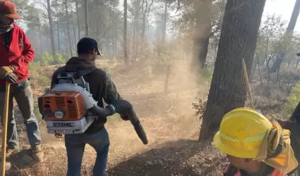 Incendio forestal en N�cori Chico