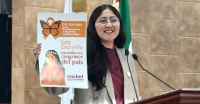 Diputada Liliana Michel S�nchez Allende