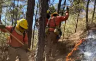 Protecci�n Civil explica a qu� se debe la falta de apoyo a�reo en incendio de N�cori Chico