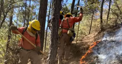 Incendio forestal en N�cori Chico