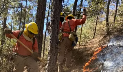 Incendio forestal en N�cori Chico