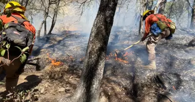 Incendio forestal en N�cori Chico