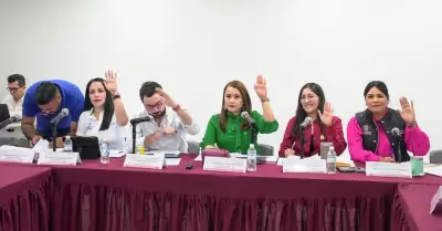 Comisi�n de Fiscalizaci�n