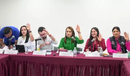 Comisi�n de Fiscalizaci�n