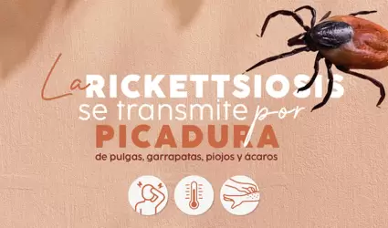 Prevenci�n de la rickettsiosis
