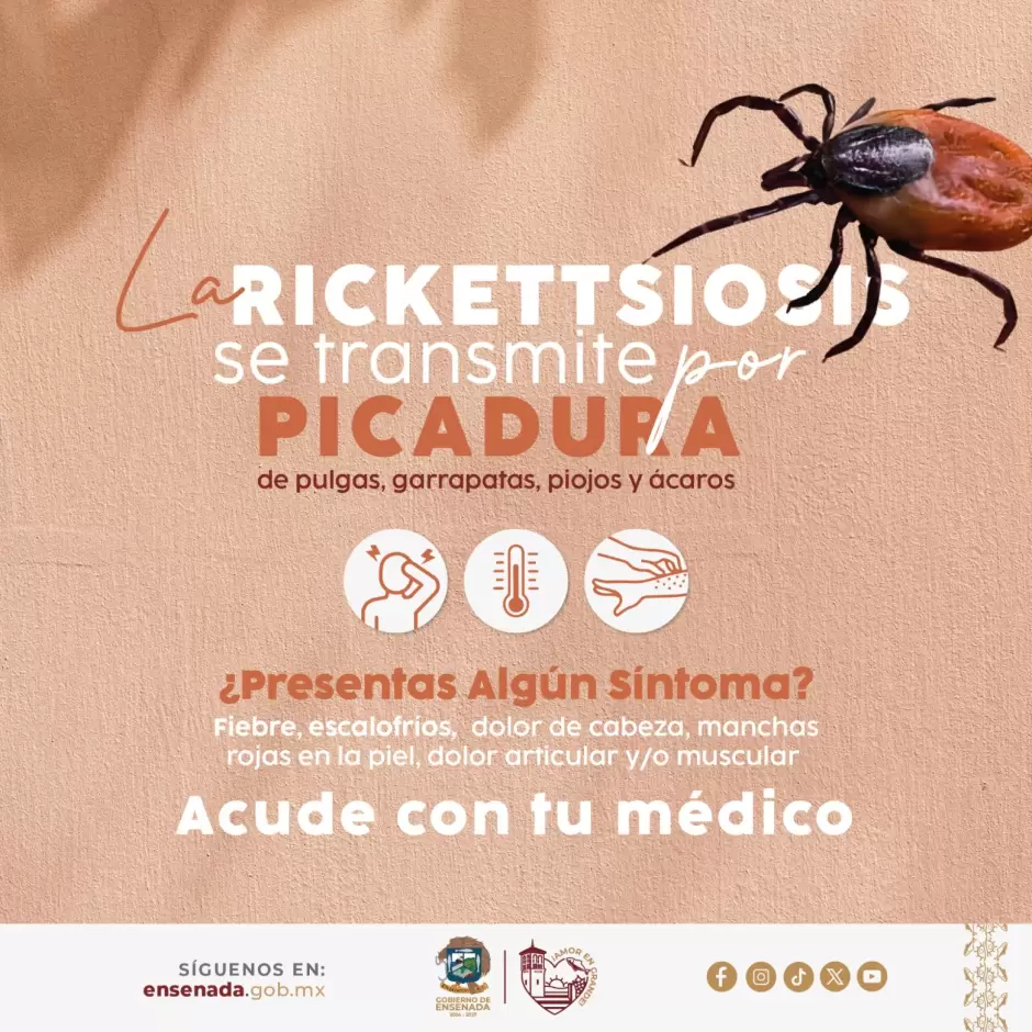 Prevenci�n de la rickettsiosis