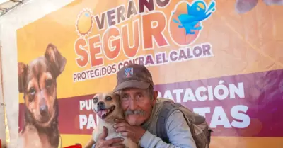 Verano Seguro