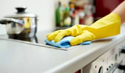 Trabajo dom�stico