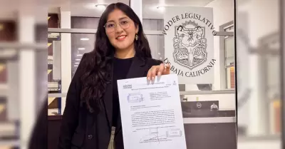 Diputada Michel S�nchez Allende