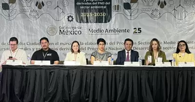 Participaci�n empresarial en agenda ambiental 2025-2030