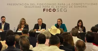 Presentaci�n del Ficoseg