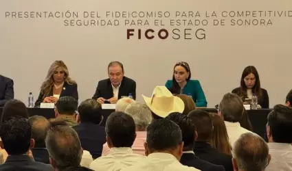 Presentaci�n del Ficoseg