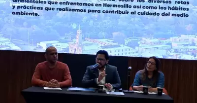 H�rmosillo �C�mo Vamos?