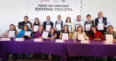 Sistema Violeta