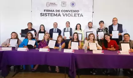 Sistema Violeta