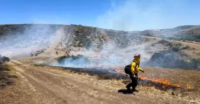 Concluye con �xito curso binacional forestal 2025