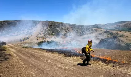 Concluye con �xito curso binacional forestal 2025