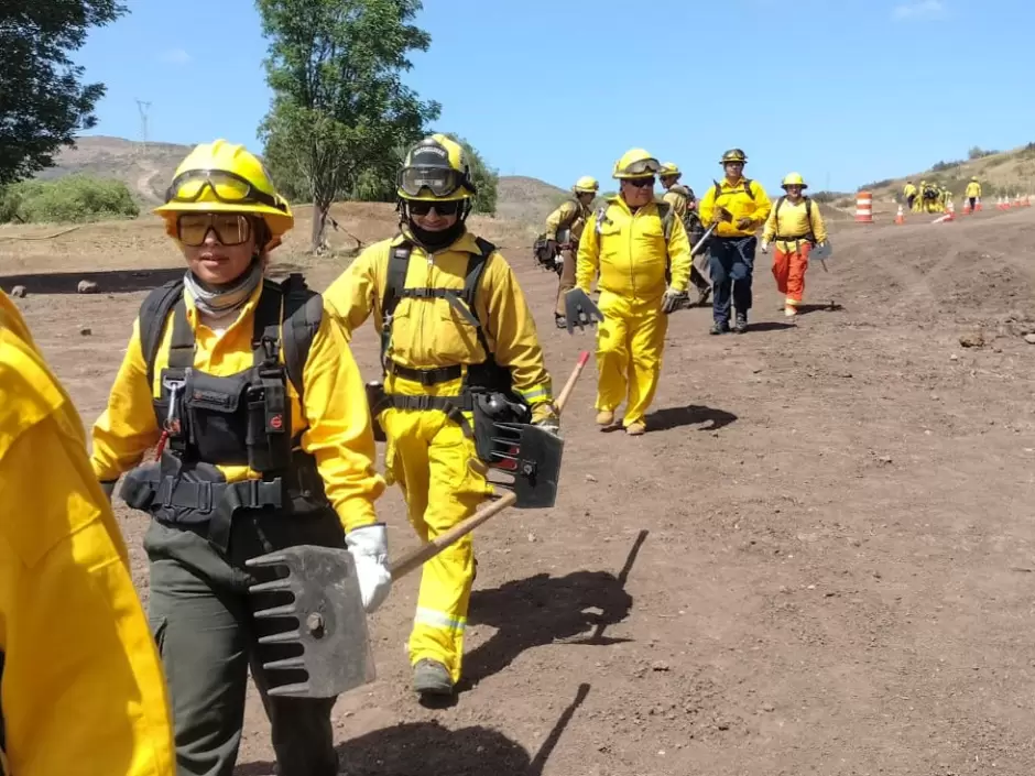 Concluye con �xito curso binacional forestal 2025