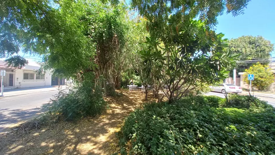 Bosque de la Alegr�a