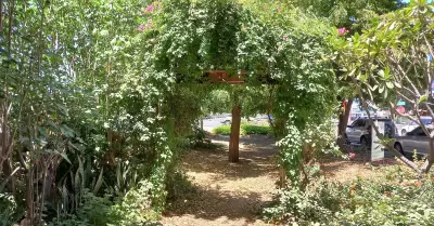 Bosque de la Alegr�a