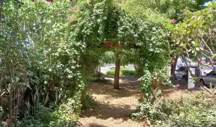 Bosque de la Alegr�a