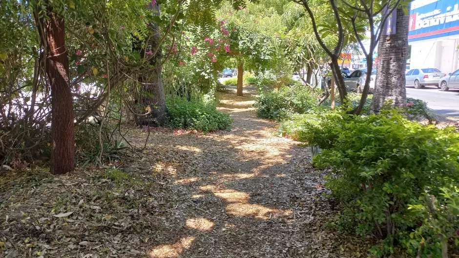 Bosque de la Alegr�a