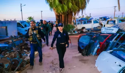 Operativos en yonkes para combatir el robo de veh�culos