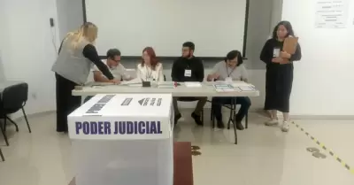 INE, elecci�n judicial