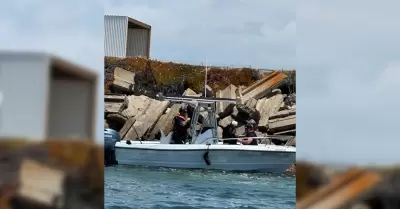 Migrantes en la bah�a de San Diego