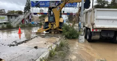 Trabajos de mantenimiento