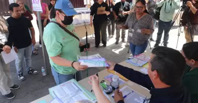 organismos locales