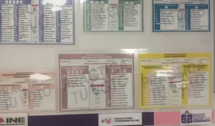 Votaci�n anticipada