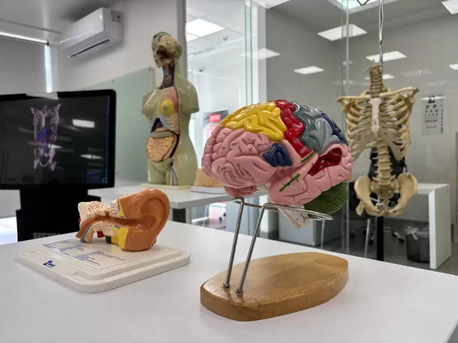 Innovaci�n tecnol�gica en las ciencias de la vida