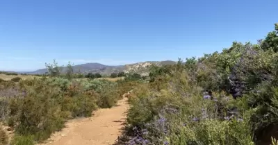Medio Ambiente