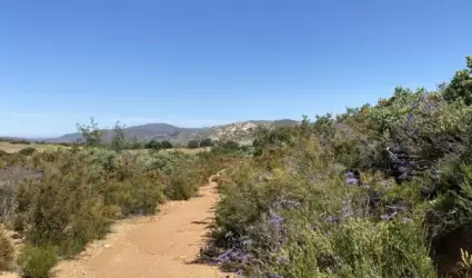 Medio Ambiente