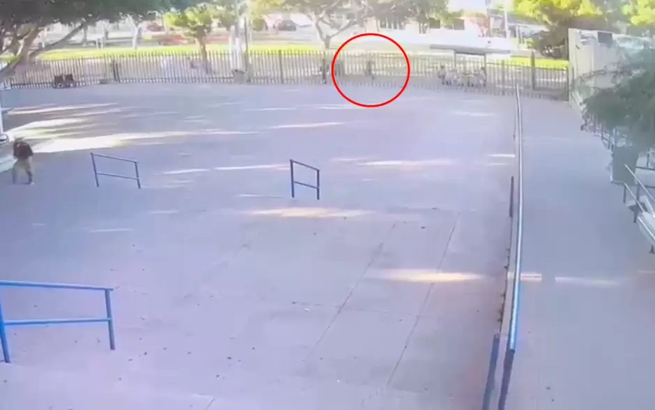 Agresor escapa